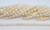 Freshwater Pearl Rice 6-7mm strand 47 beads-beads incl pearls-Beadthemup