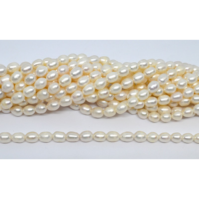 Freshwater Pearl Rice 6-7mm strand 47 beads