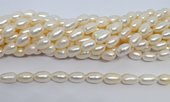 Freshwater Pearl Rice 8-9mm strand 30 beads-beads incl pearls-Beadthemup