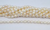 Freshwater Pearl Rice 7-8mm strand 43 beads-beads incl pearls-Beadthemup