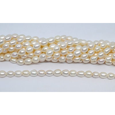 Freshwater Pearl Rice 7-8mm strand 43 beads