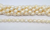 Freshwater Pearl Rice 11-12mm strand 28 beads-beads incl pearls-Beadthemup