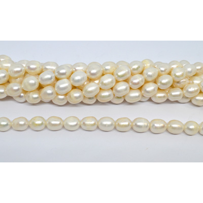 Freshwater Pearl Rice 11-12mm strand 28 beads