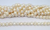 Freshwater Pearl Potato 10-11mm strand 37 beads-beads incl pearls-Beadthemup