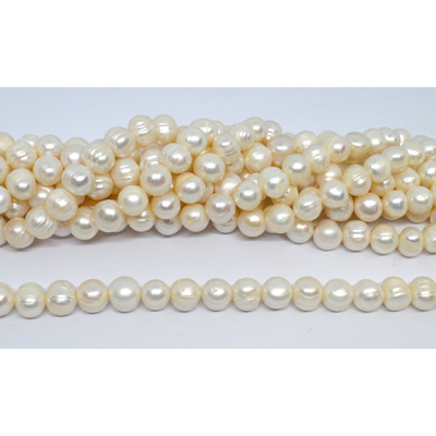 Freshwater Pearl Potato 10-11mm strand 37 beads