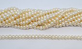 Freshwater Pearl Rondel/Button 7-7.5mm strand 68 beads-beads incl pearls-Beadthemup