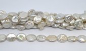 Freshwater Pearl Coin Oval 15x17mm strand 23 beads-beads incl pearls-Beadthemup