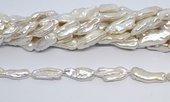 Freshwater Pearl Biwa 20-25x10mm strand 16 beads-beads incl pearls-Beadthemup