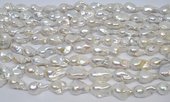Freshwater Pearl Baroque 13x22 str 16 beads painted-beads incl pearls-Beadthemup