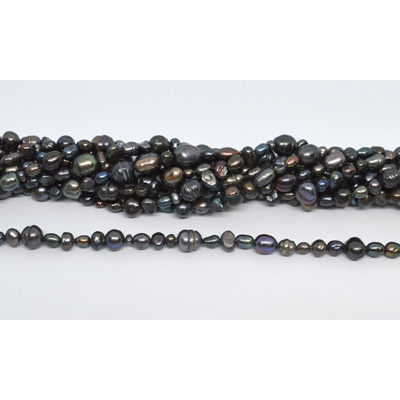 Fresh Water Pearl Multi colour/size Peacock  41cm strand