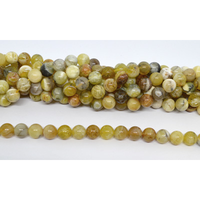 Yellow Opal polished round 10mm strand 39 beads