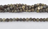 Coffee Ocean fossil polished round 6mm strand 64 beads-beads incl pearls-Beadthemup