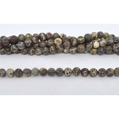 Coffee Ocean fossil polished round 6mm strand 64 beads