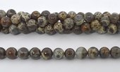 Coffee Ocean fossil polished round 8mm strand 49 beads-beads incl pearls-Beadthemup