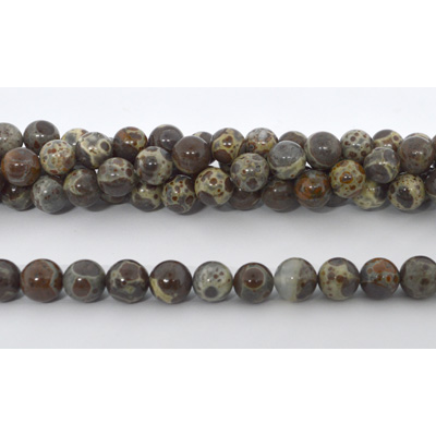 Coffee Ocean fossil polished round 8mm strand 49 beads