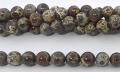 Coffee Ocean fossil polished round 10mm strand 39 beads-beads incl pearls-Beadthemup