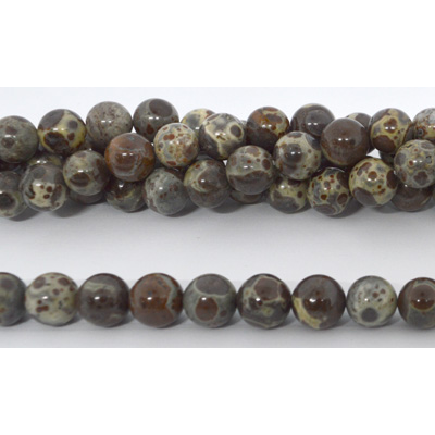 Coffee Ocean fossil polished round 10mm strand 39 beads