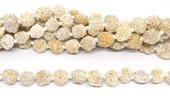 Natural Selenite Desert Rose Beads Raw approx 14mm strand 28 beads-beads incl pearls-Beadthemup