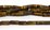 Tiger eye approx. 14x6mm polished tube strand 20 beads