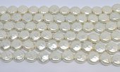 Shell Based Pearl Coin 14mm strand 29 beads-beads incl pearls-Beadthemup