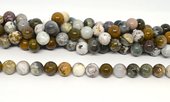 Ocean Jasper polished round 12mm strand 30 beads-beads incl pearls-Beadthemup