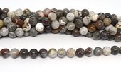 Mexican Crazy Lace Agate polished round 10mm strand 38 beads-beads incl pearls-Beadthemup