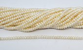 Freshwater Pearl rondel 3-4x2.5mm strand 135 beads-beads incl pearls-Beadthemup