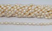 Freshwater Pearl rice 7-8mm strand 36 beads-beads incl pearls-Beadthemup