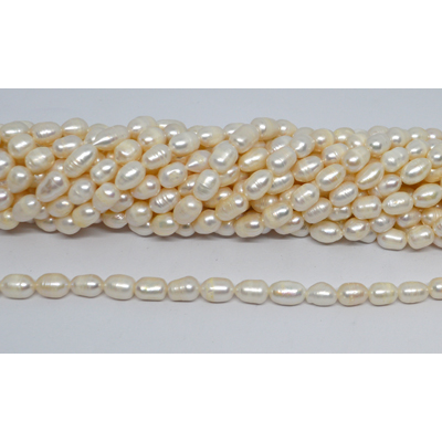 Freshwater Pearl rice 7-8mm strand 36 beads