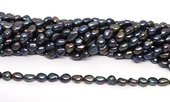 Freshwater Pearl Grey 7-8mm Potato strand 40 beads-beads incl pearls-Beadthemup