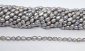 Freshwater Pearl Grey 6-7mm Baroque strand 44 beads-beads incl pearls-Beadthemup