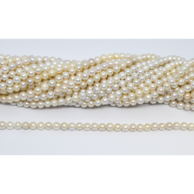 Freshwater Pearl 4.7-5.5mm almost round strand 76 beads