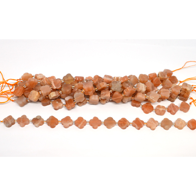 Sunstone 11mm 4 leaf Clover 19cm strand 14 beads