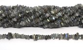 Labradorite Chip approx 10x2mm strand 130 beads-beads incl pearls-Beadthemup