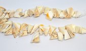 Shell top drilled chip 19cm strand 21 beads-beads incl pearls-Beadthemup