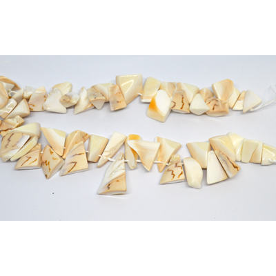 Shell top drilled chip 19cm strand 21 beads