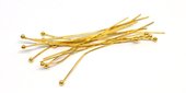 Ball Headpin 0.6x50mm  18k Gold plated brass 20 pack tarnish resistant-findings-Beadthemup