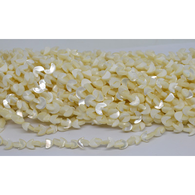 Mother of Pearl (trochus Maculatus) half moon 8x6mm strand