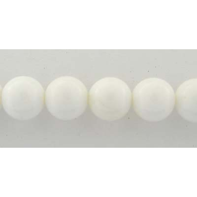 White Shell 12mm Round beads per strand 35 Beads