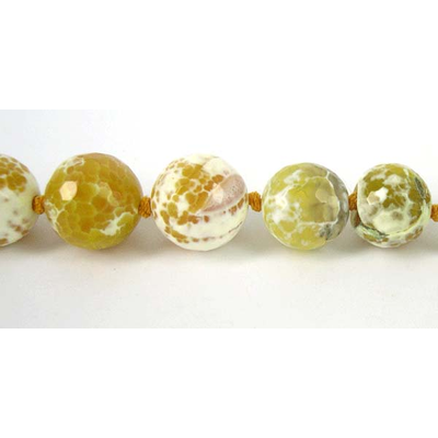 Agate Dyed/crkle grad 8-16mm yellow/grn