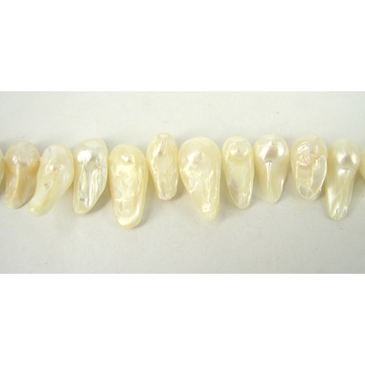 Fresh Water Pearl Blister 13-15mm White approx/5