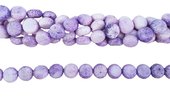 Coral Dyed Round Flat 14x7mm Purple beads per strand-beads incl pearls-Beadthemup