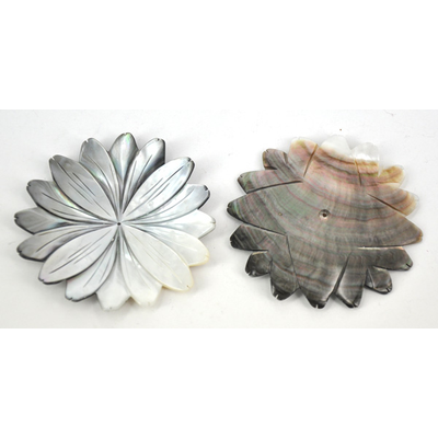 Carved Shell pendant flower shape 70-75m
