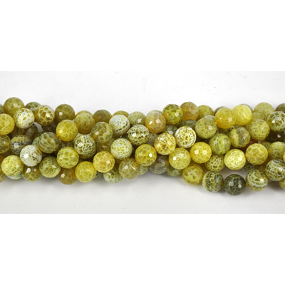 Agate Dyed Green 14mm Faceted Round beads per strand 28