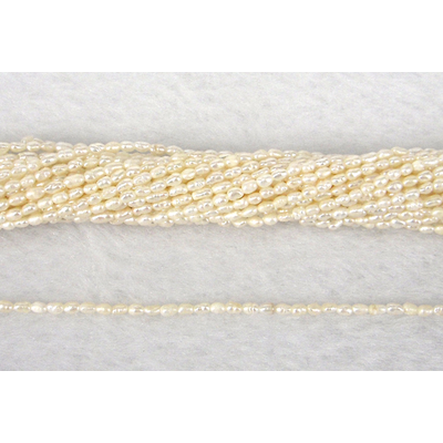 Fresh Water Pearl Rice 3x2mm beads per strand 113 Pearls