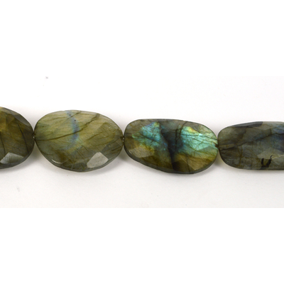 Labradorite Faceted Flat Slice app 28x23mm EA